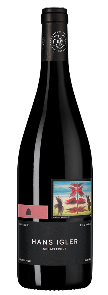 Вино Pinot Noir Ried Fabian, Hans Igler, 2019, (144069), Австрия, Бургенланд, красное, сухое, 0.75 л, Пино Нуар Рид Фабиан, цена 6990 рублей