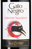 Чилийское красное вино Каберне совиньон Gato Negro Cabernet Sauvignon