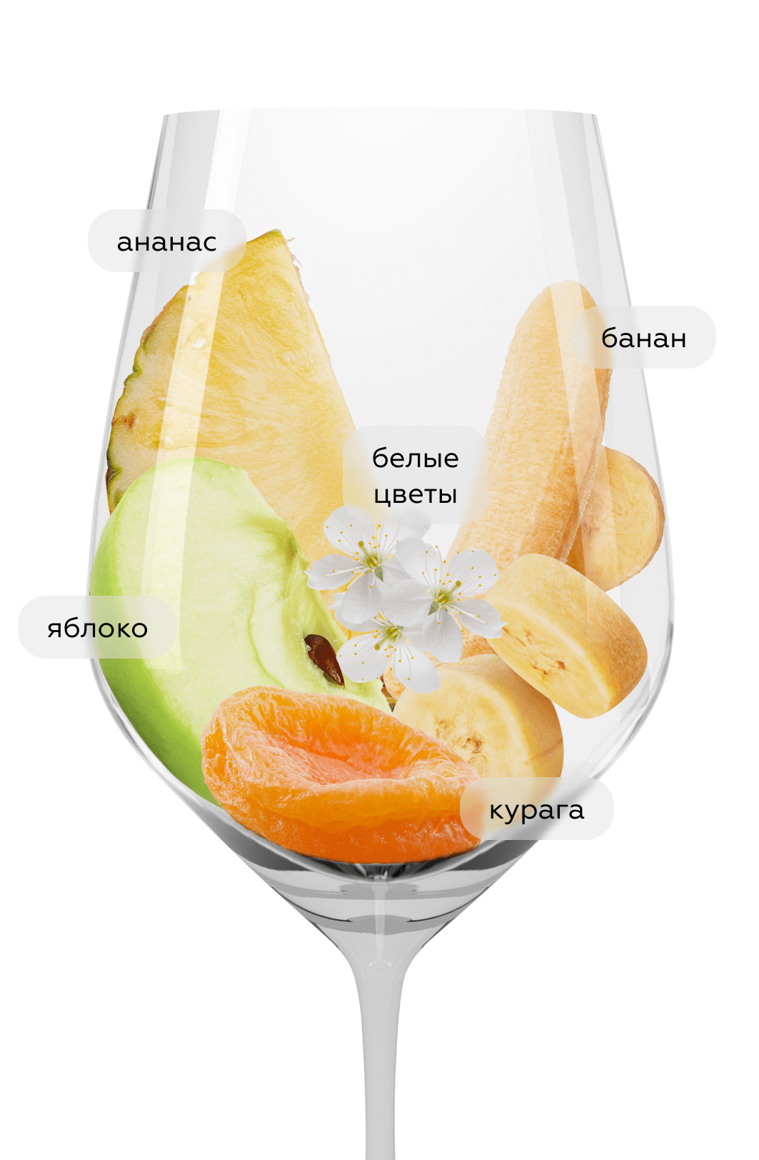 Вино La Fuga Chardonnay, Donnafugata, 2023, (152590), Италия, Сицилия, белое, сухое, 0.75 л, Ла Фуга Шардоне, цена 6290 рублей