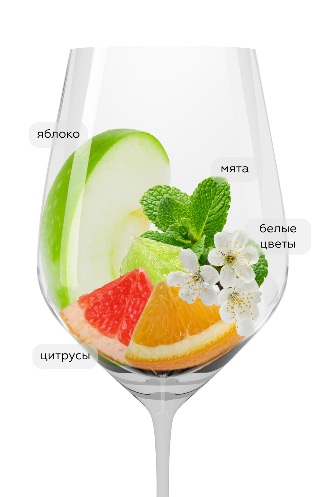 Вино Sauvignon Blanc, Domaine Tariquet, 2024, (156167), Франция, Юго-Запад, белое, сухое, 0.75 л, Совиньон Блан, цена 3490 рублей