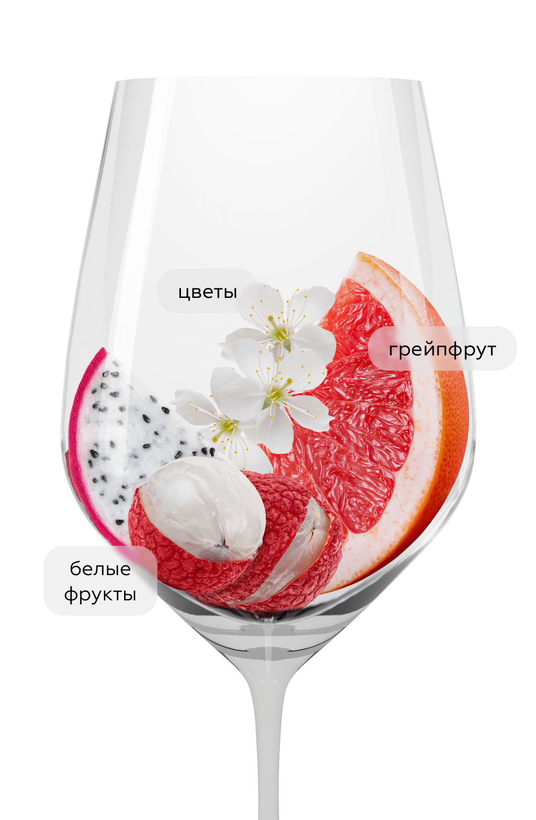 Шипучее вино Lambrusco di Sorbara  LaRiserva, Paltrinieri, 2021, (146623), Италия, Эмилия-Романья, красное, экстра брют, 0.75 л, Ламбруско ди Сорбара ЛаРизерва, цена 5990 рублей