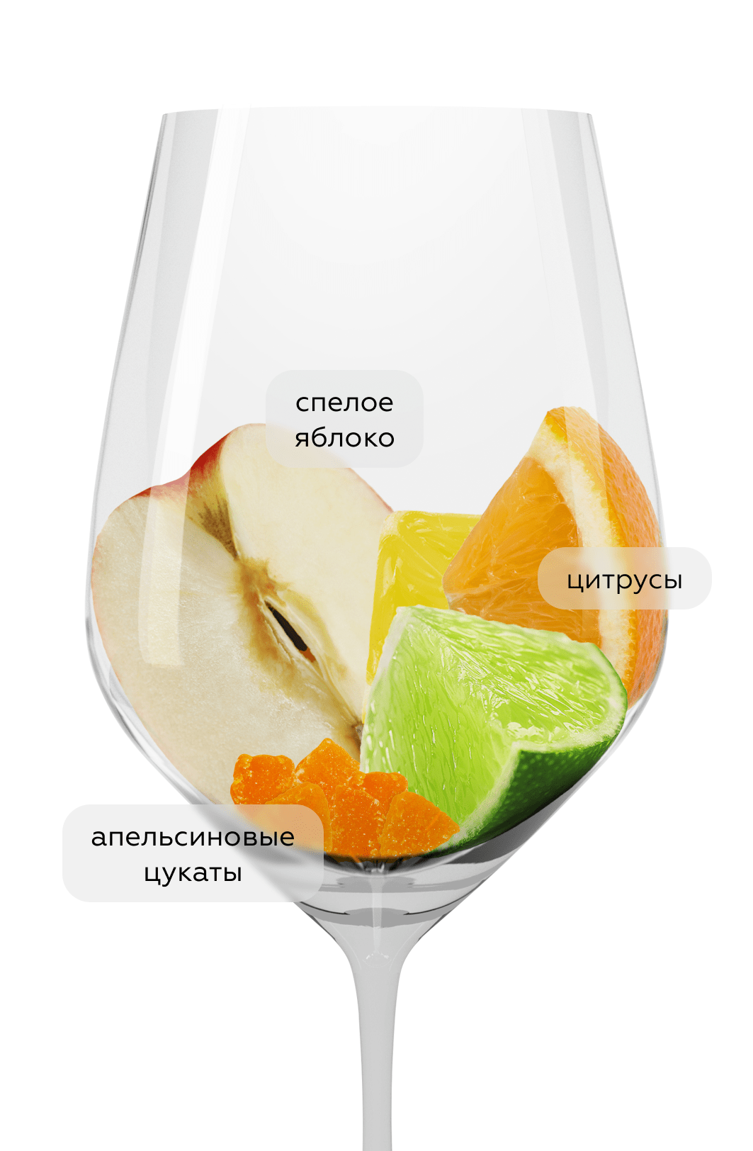 Вино Terres (Saumur), Thierry Germain, 2016, (116271), Франция, Долина Луары, белое, сухое, 0.75 л, Тер, цена 19990 рублей