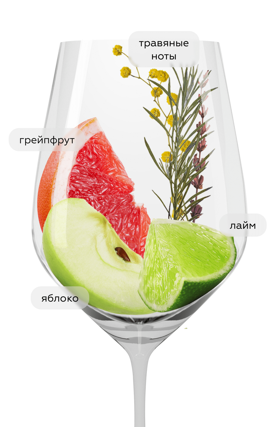 Вино Schloss Riesling, Maximin Grunhaus, 2024, (155159), Германия, Мозель, белое, полусухое, 0.75 л, Шлосс Рислинг, цена 5490 рублей