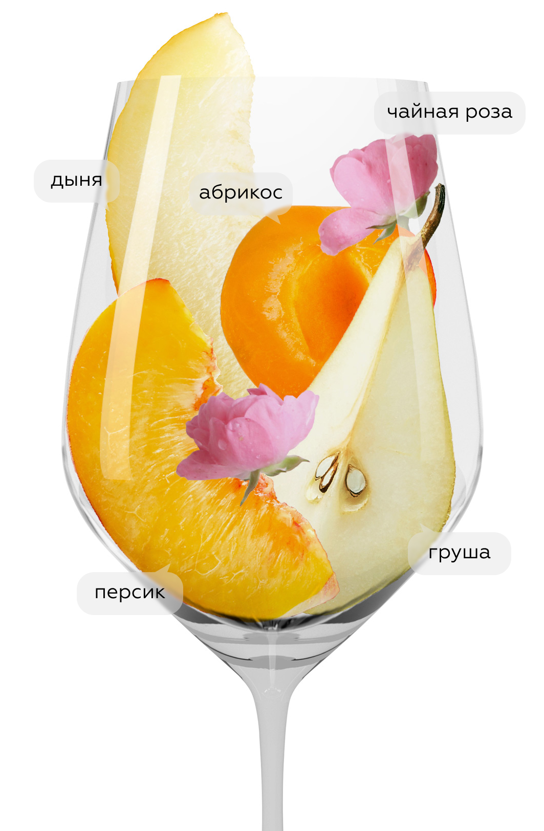 Вино Pfefferer, Colterenzio, 2019, (120952), Италия, Трентино-Альто Адидже, белое, полусухое, 0.75 л, Пфефферер, цена 1868 рублей