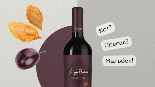 Разбирай меня полностью: мальбек