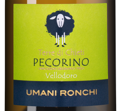 Вино Vellodoro Pecorino, (126829), белое сухое, 2020 г., 0.75 л, Веллодоро Пекорино цена 2140 рублей