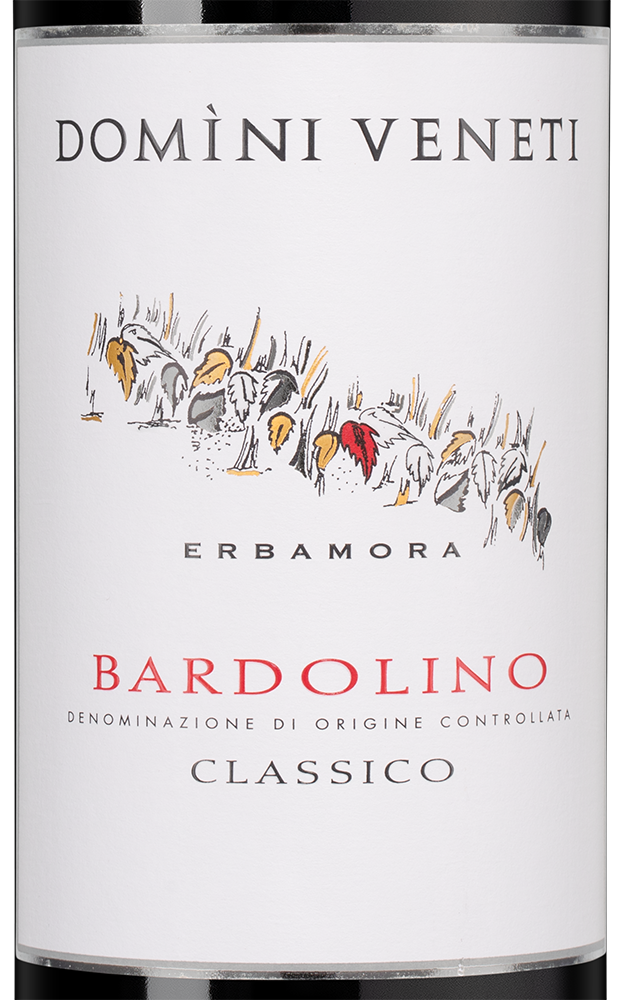 Вино Bardolino Classico, Domini Veneti, 2024, (155378), Италия, Венето, красное, полусухое, 0.75 л, Бардолино Классико, цена 2990 рублей