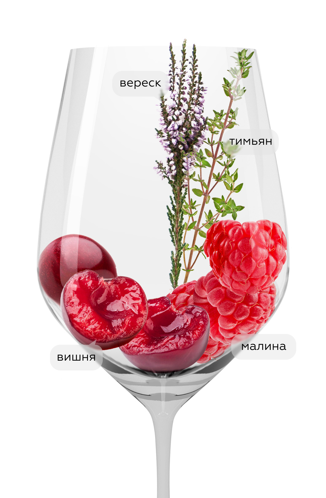 Вино Gorgona Rosso, Frescobaldi, 2019, (133685), Италия, Тоскана, красное, сухое, 0.75 л, Горгона Россо, цена 59990 рублей