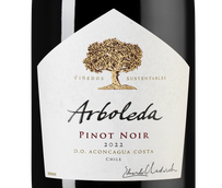 Красное вино Чили пино нуар Pinot Noir