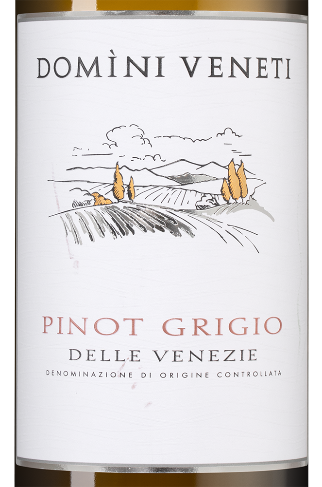 Вино Pinot Grigio, Domini Veneti, 2021, (137561), Италия, Венето, белое, полусухое, 0.75 л, Пино Гриджо, цена 2690 рублей