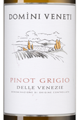 Белое вино региона Венето Pinot Grigio
