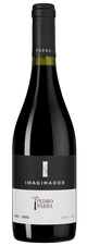 Вино Imaginador, (133735), красное сухое, 2020 г., 0.75 л, Имахинадор цена 6690 рублей