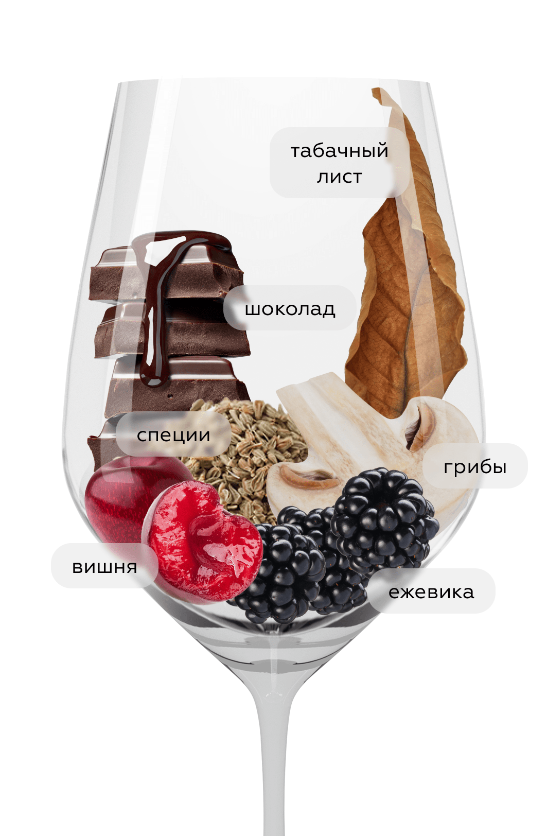 Вино Max Reserva Carmenere, Errazuriz, 2020, (138244), Чили, Аконкагуа, красное, сухое, 0.75 л, Макс Ресерва Карменер, цена 2653 рублей