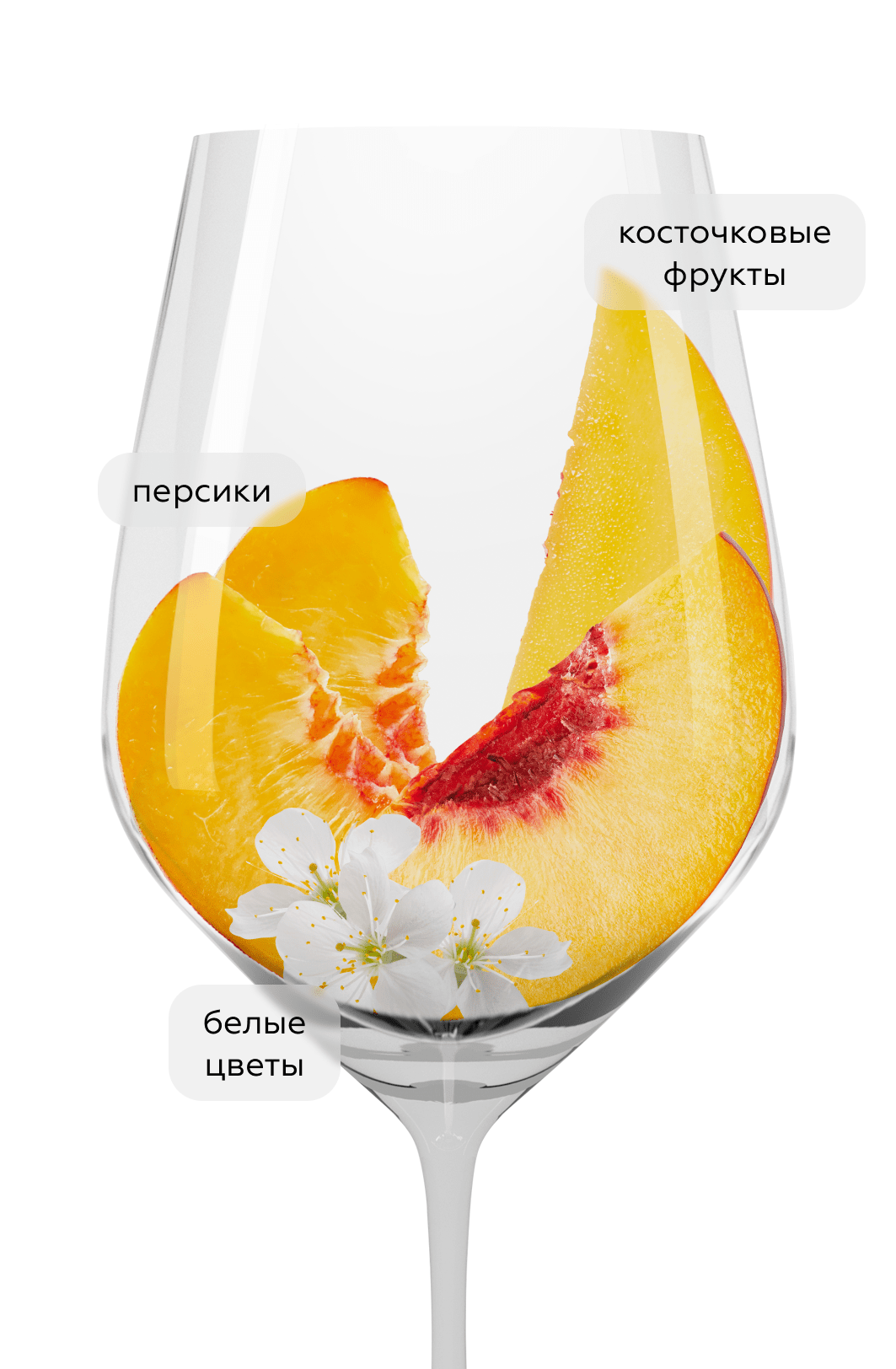 Шипучее вино безалкогольное Uva Brava Frizz White, 0,0%, Bodegas Reymos, (147882), Испания, 0.75 л, Ува Брава Фризз Уайт Безалкогольное, цена 1190 рублей