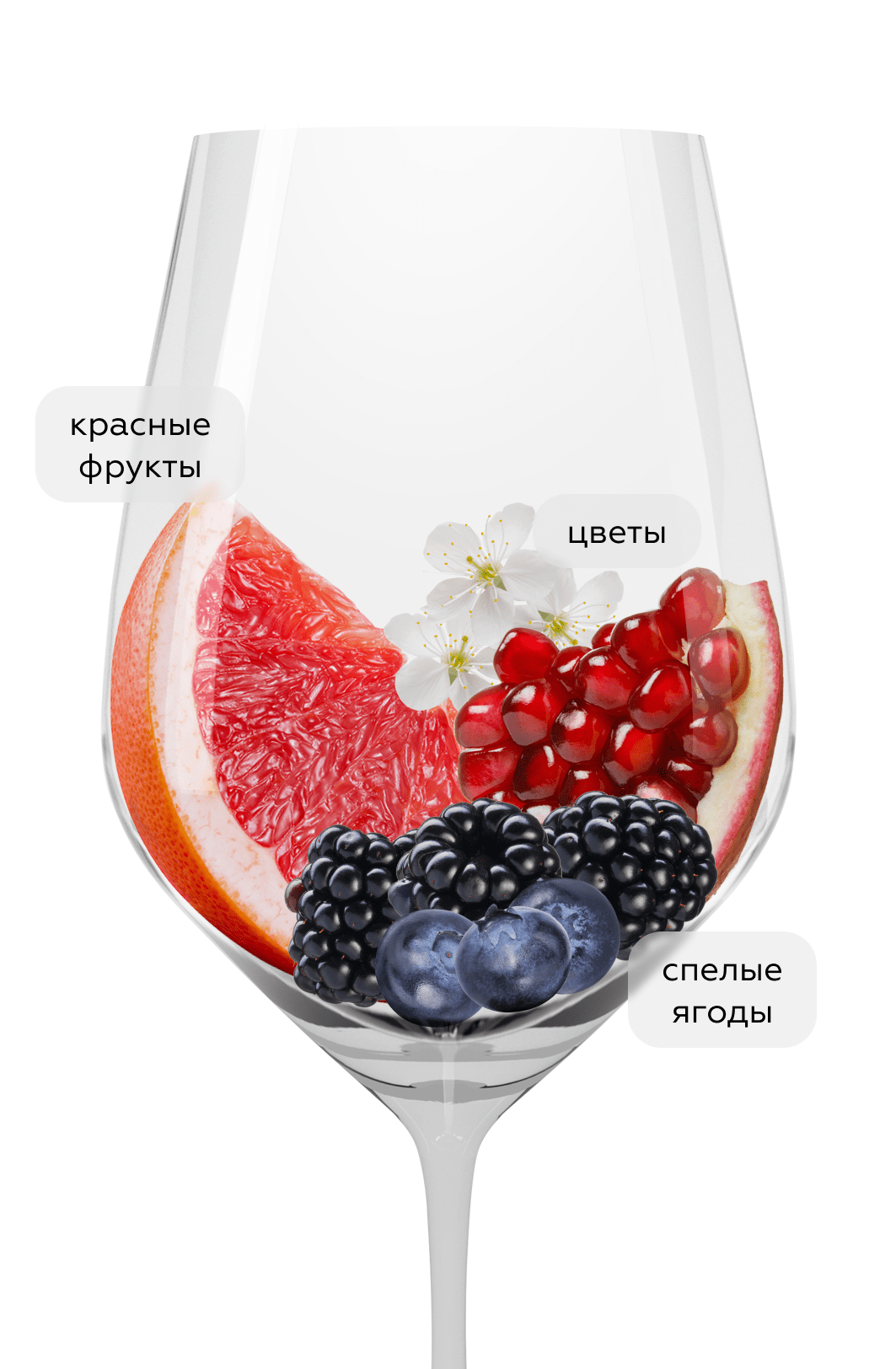 Игристое вино безалкогольное Vina Albali Rose Low Alcohol, 0,5%, Felix Solis, 2022, (147280), Испания, Кастилия Ла Манча, 0.75 л, Винья Албали Розе Безалкогольное, цена 1390 рублей