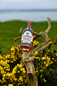 Крепкие напитки Lambay Single Malt Irish Whiskey в подарочной упаковке