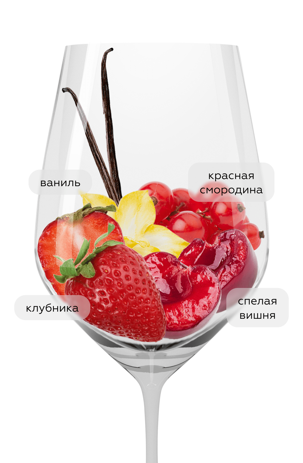 Вино Pinot Nero (Blauburgunder), Colterenzio, 2023, (148073), Италия, Трентино-Альто Адидже, красное, сухое, 0.75 л, Пино Неро (Блаубургундер), цена 4490 рублей