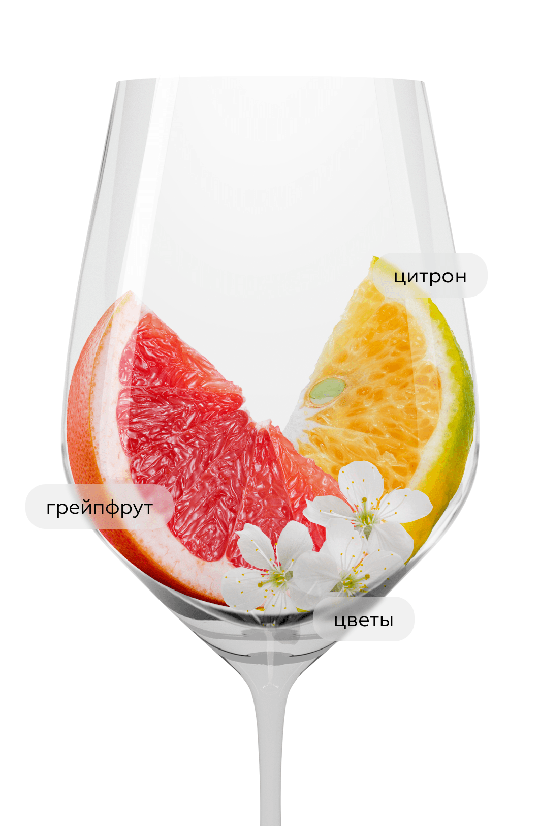 Вино Prio, Donnafugata, 2024, (155864), Италия, Сицилия, белое, сухое, 0.75 л, Прио, цена 5490 рублей