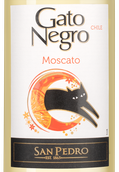 Вино с цветочным вкусом Gato Negro Moscato
