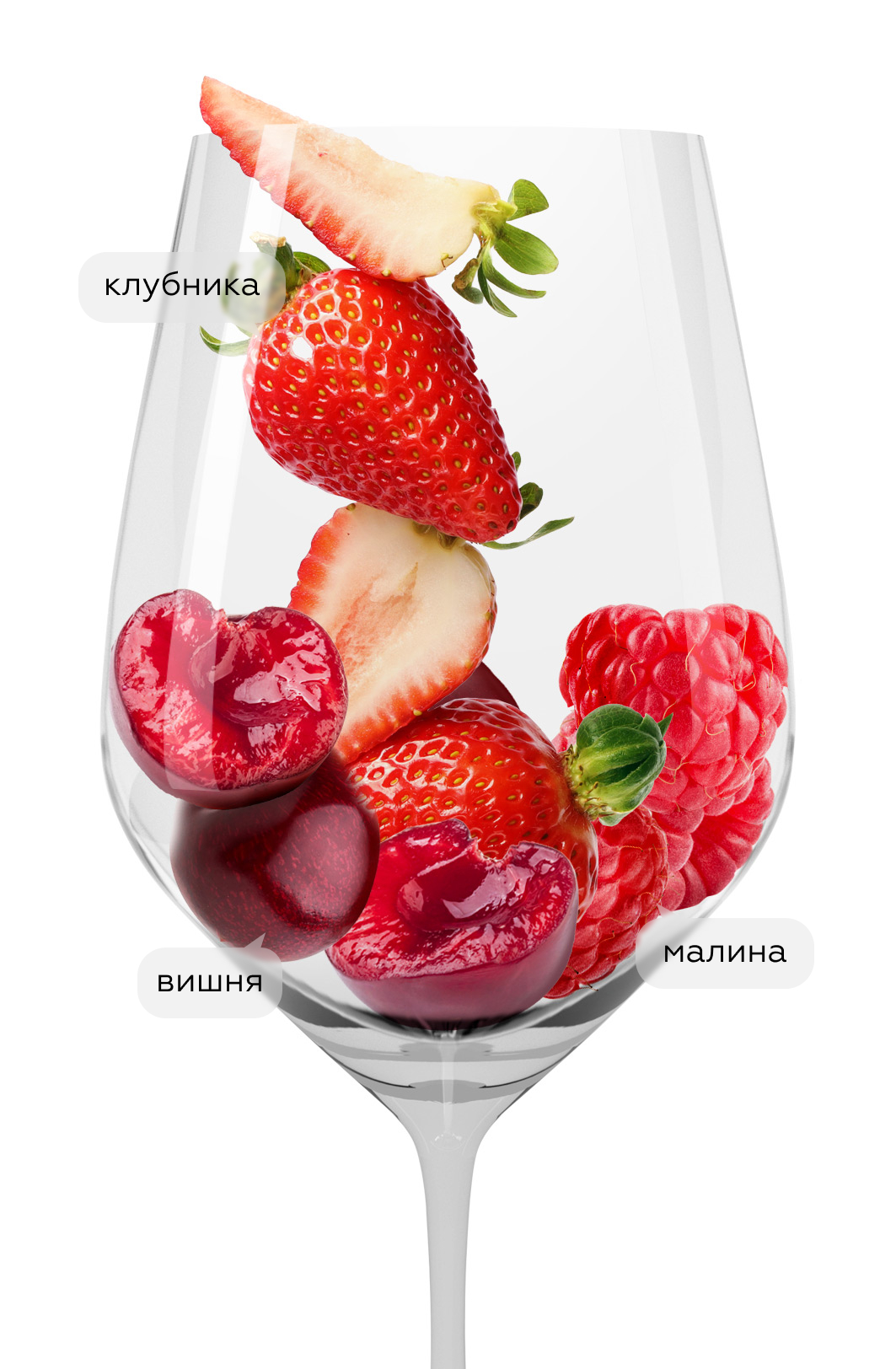 Вино Centine Rose, Banfi, 2021, (137372), Италия, Тоскана, розовое, полусухое, 0.75 л, Чентине Розе, цена 2990 рублей