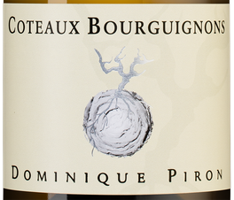 Вино Coteaux Bourguignons Blanc, (124174), белое сухое, 2019 г., 0.75 л, Кото Бургиньон Блан цена 4190 рублей