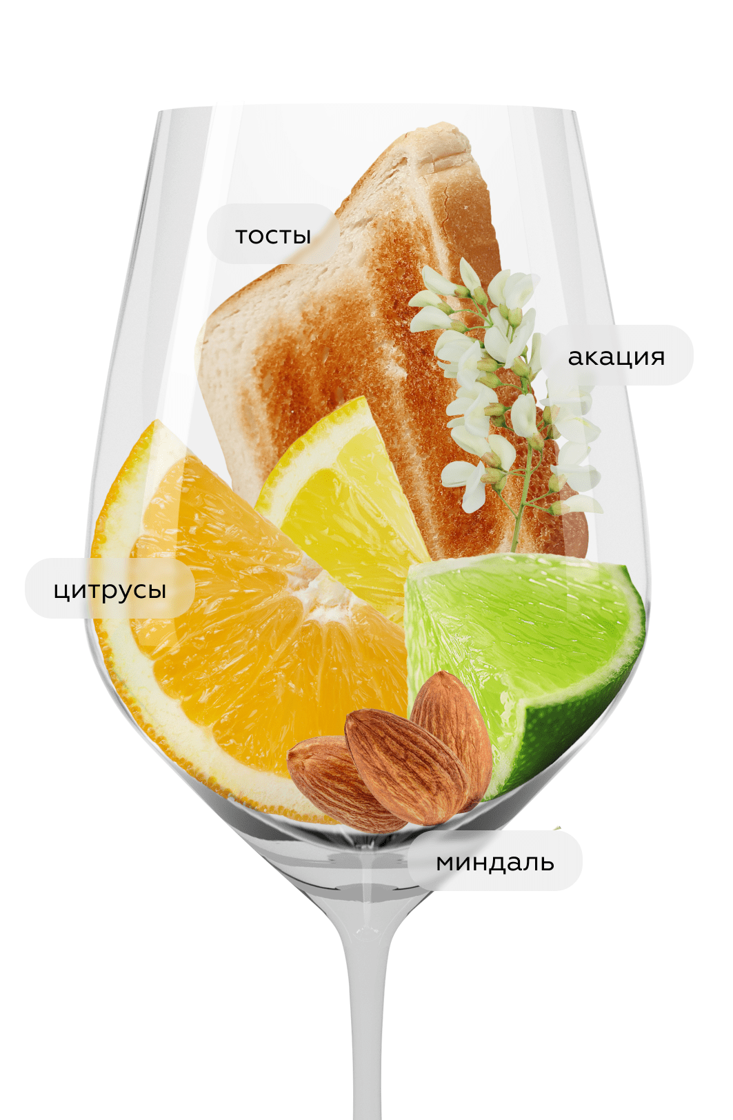 Игристое вино Кюве де Витмер, Золотая Балка, 2020, (149590), Россия, Крым, белое, брют, 0.75 л, Кюве де Витмер, цена 2990 рублей