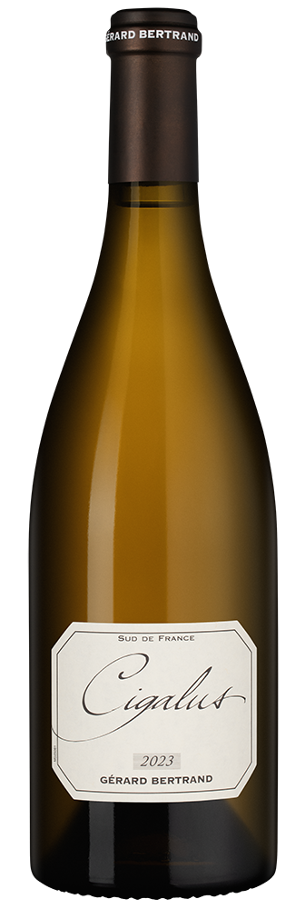 Вино Cigalus Blanc, Gerard Bertrand, 2023, (155641), Франция, Лангедок-Руссильон, белое, сухое, 0.75 л, Сигалюс Блан, цена 11490 рублей