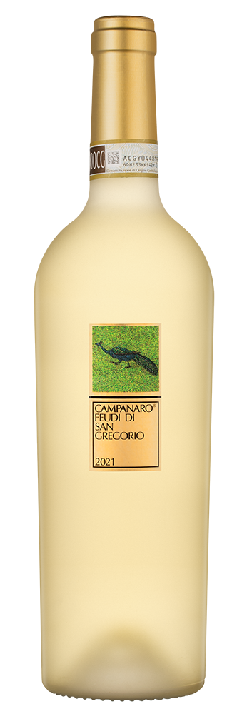 Вино Campanaro, Feudi di San Gregorio, 2021, (143808), Италия, Кампания, белое, сухое, 0.75 л, Кампанаро, цена 7990 рублей