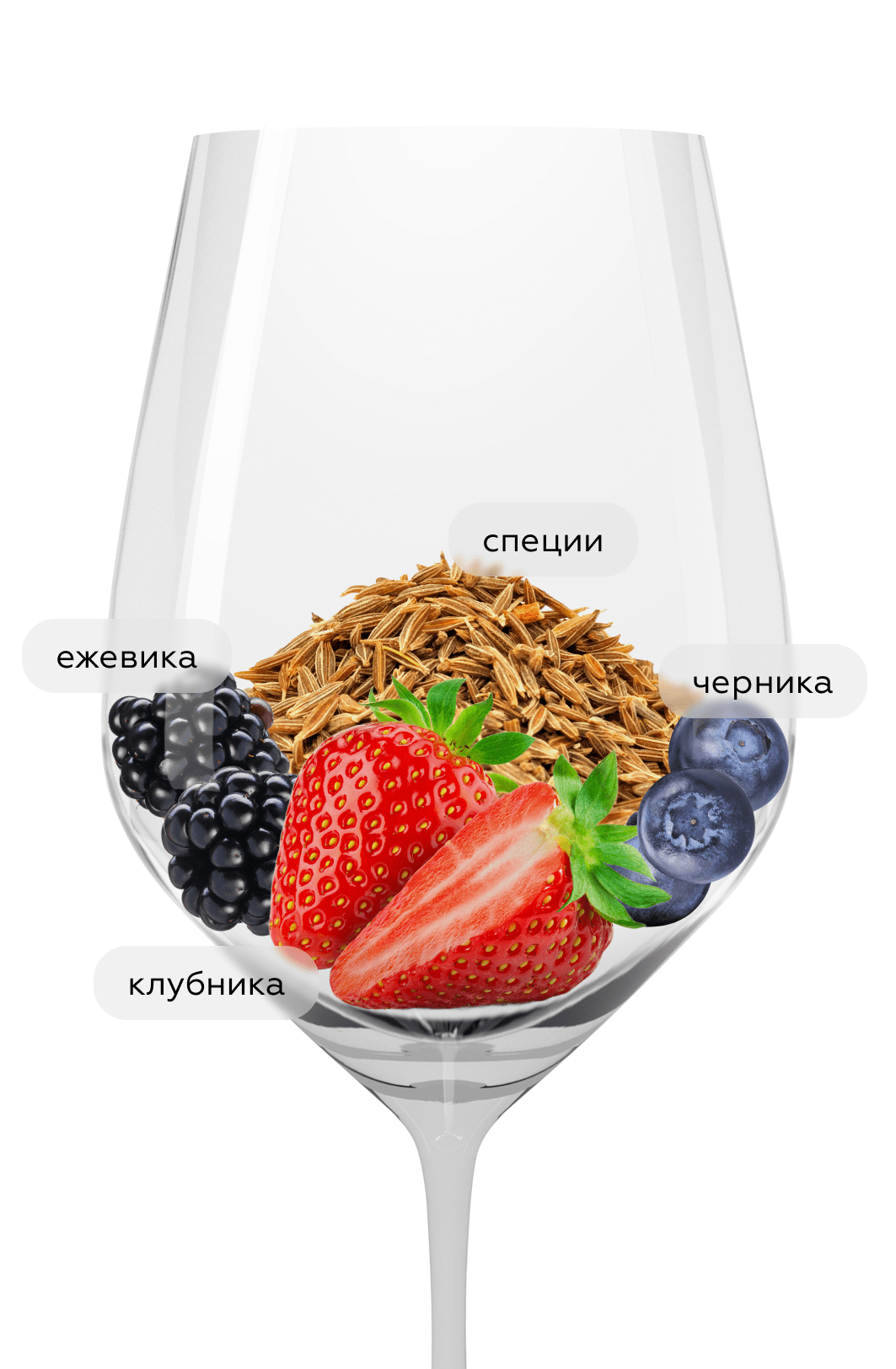 Вино UNA Pinot Noir, Vereinigte Winzer Neusiedler, 2022, (141183), Австрия, Бургенланд, красное, полусухое, 0.75 л, УНА Пино Нуар, цена 2790 рублей