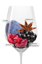 Вино Ripassa della Valpolicella Superiore, (125852), красное полусухое, 2017 г., 0.75 л, Рипасса делла Вальполичелла Супериоре цена 4690 рублей