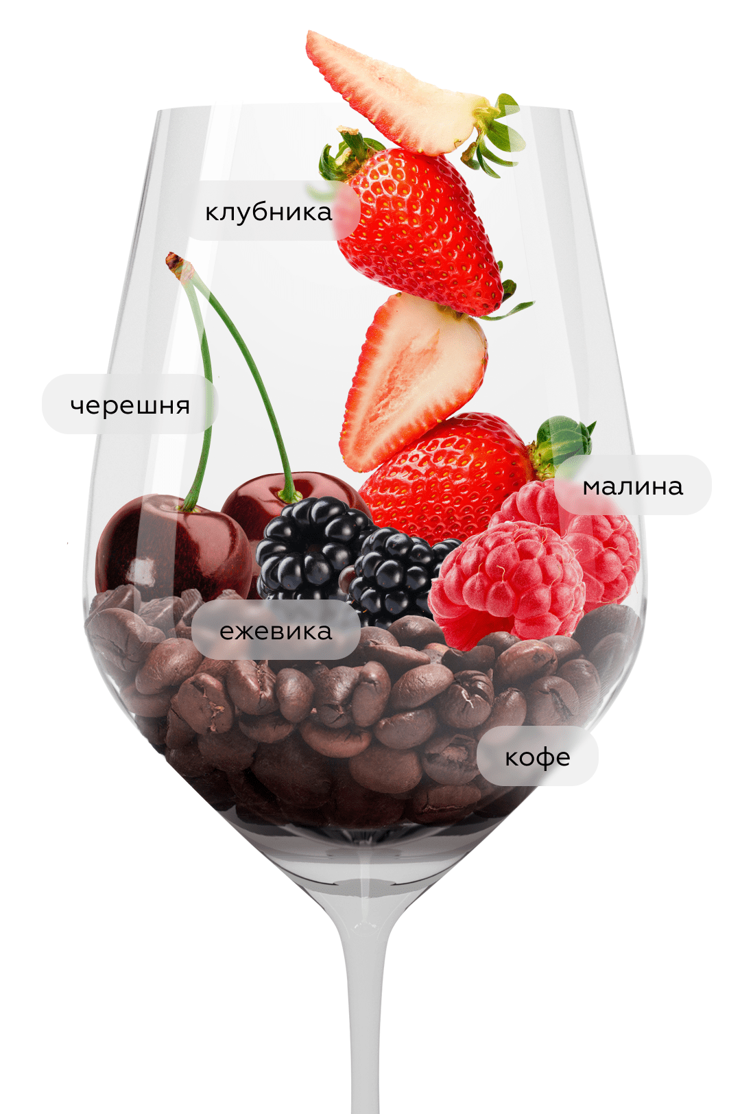 Вино Spatburgunder Kalkmergel, Knipser, 2019, (154706), Германия, Пфальц, красное, сухое, 0.75 л, Шпетбургундер Калькмергель, цена 9490 рублей