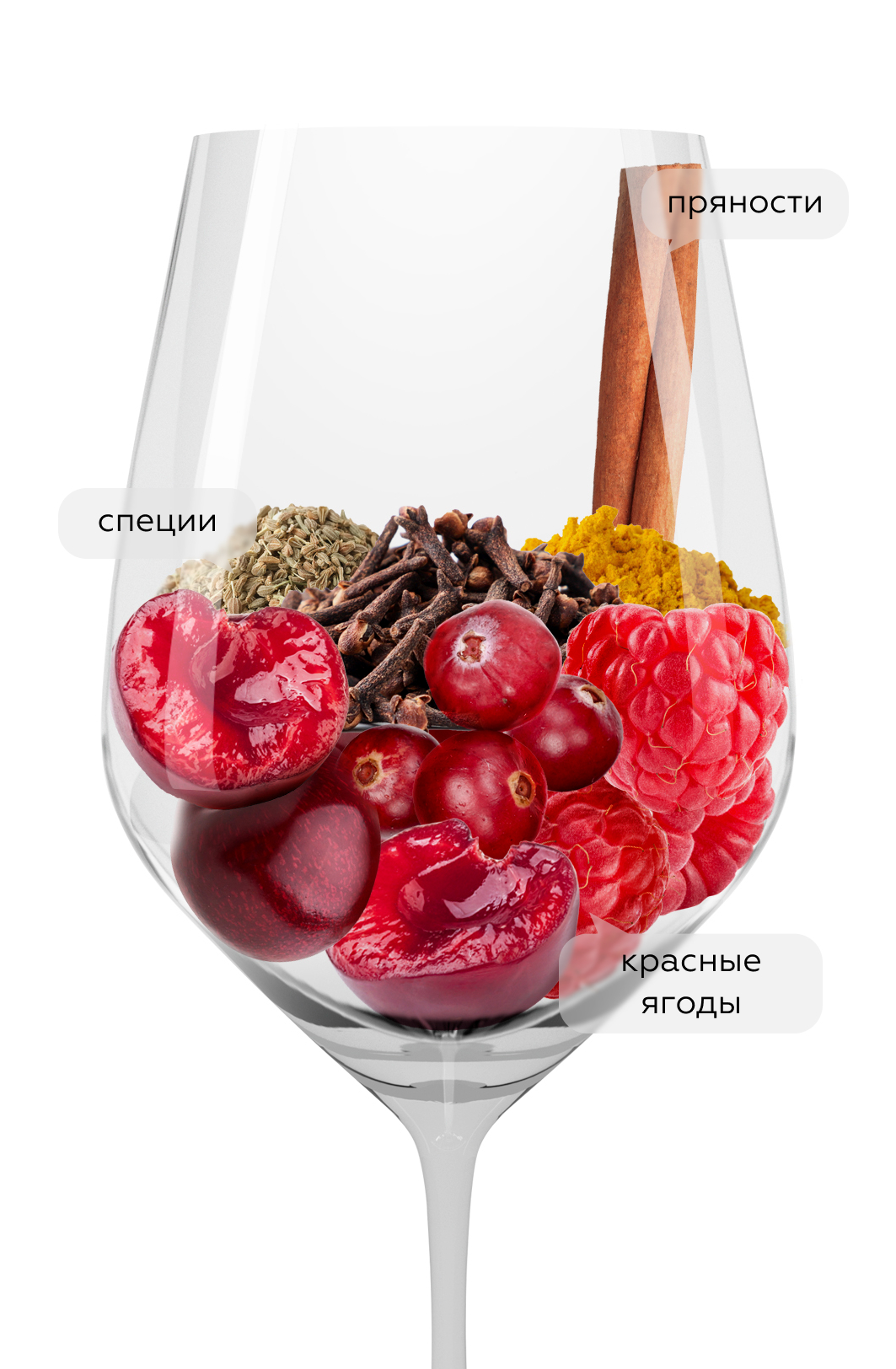 Вино VR Via Romana Barrica, Vinigalicia, 2018, (138488), Испания, Галисия, красное, сухое, 0.75 л, ВР Виа Романа Баррика, цена 5990 рублей