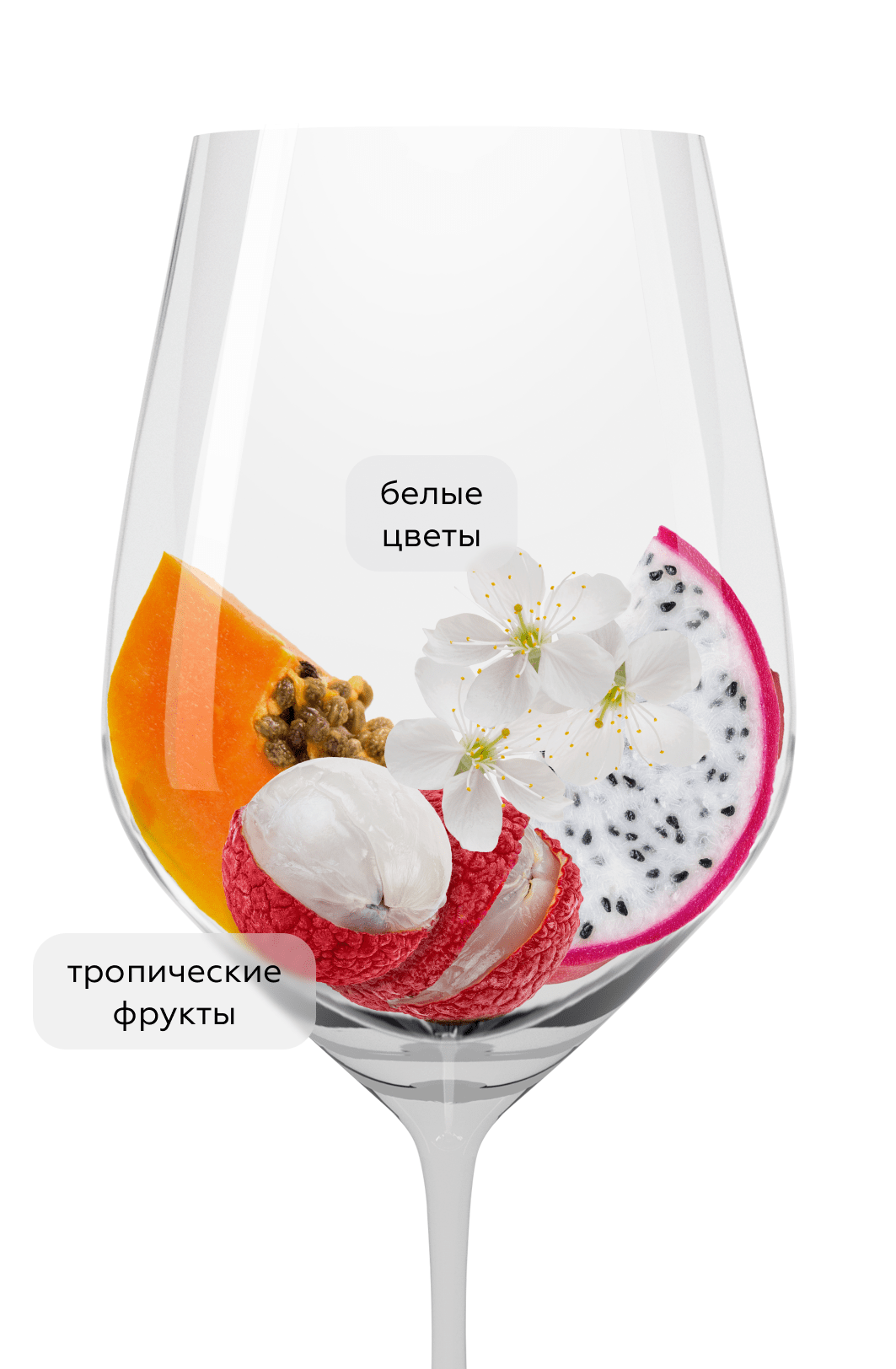 Вино Davne Vineyards Spirits Chardonnay, Bodegas Manzanos, 2023, (147157), Испания, Наварра, белое, сухое, 0.75 л, Дафне Шардоне, цена 1790 рублей