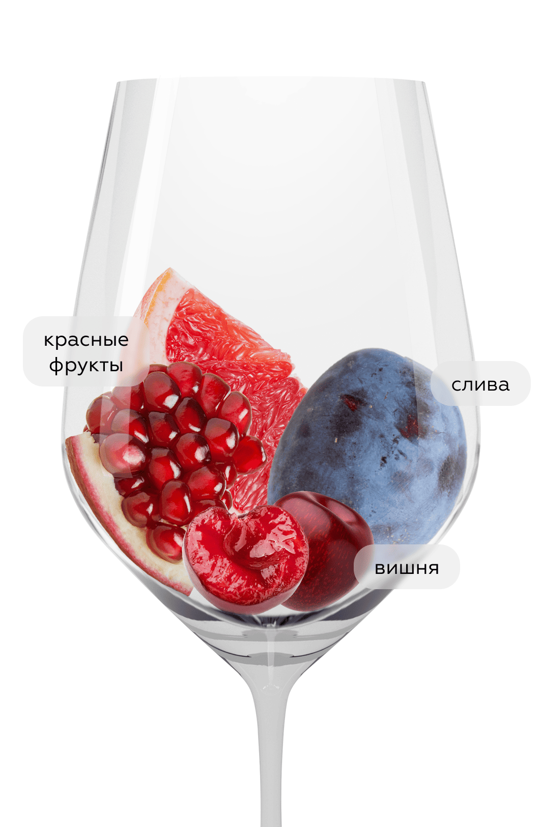 Вино Barbera d`Alba Superiore, Giacomo Fenocchio, 2022, (145898), Италия, Пьемонт, красное, сухое, 0.75 л, Барбера д`Альба Супериоре, цена 5990 рублей