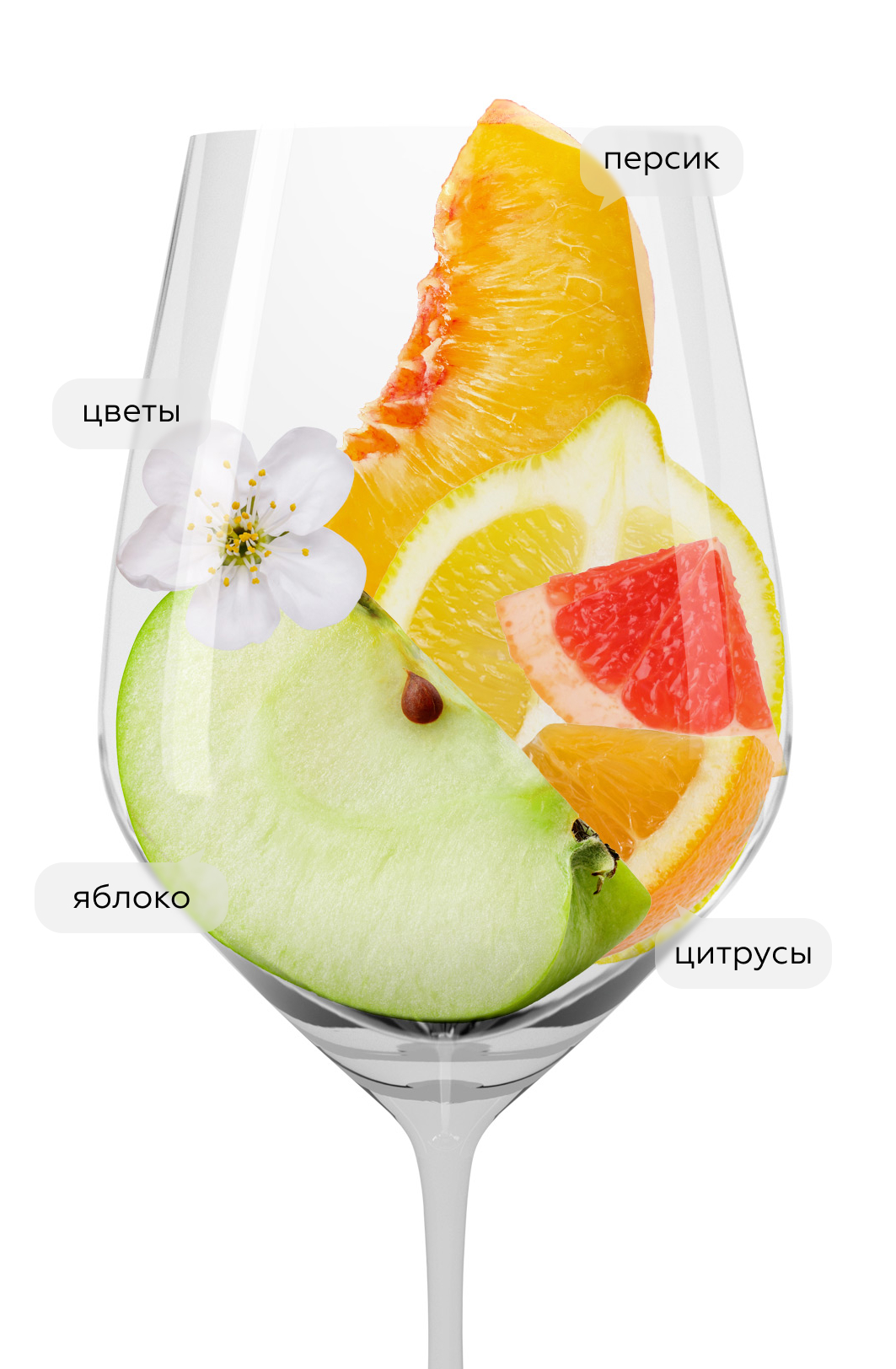 Вино Riesling Selection de Vieilles Vignes, Trimbach, 2020, (142704), Франция, Эльзас, белое, полусухое, 0.75 л, Рислинг Селексьон де Вьей Винь, цена 9990 рублей