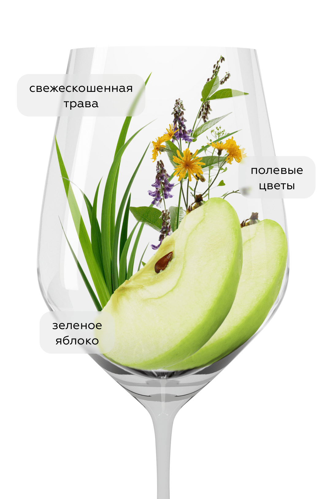 Вино Tsinandali Shildis Mtebi, 2024, (159207), Грузия, Кахетия, белое, сухое, 0.75 л, Цинандали Шилдис Мтеби, цена 1240 рублей