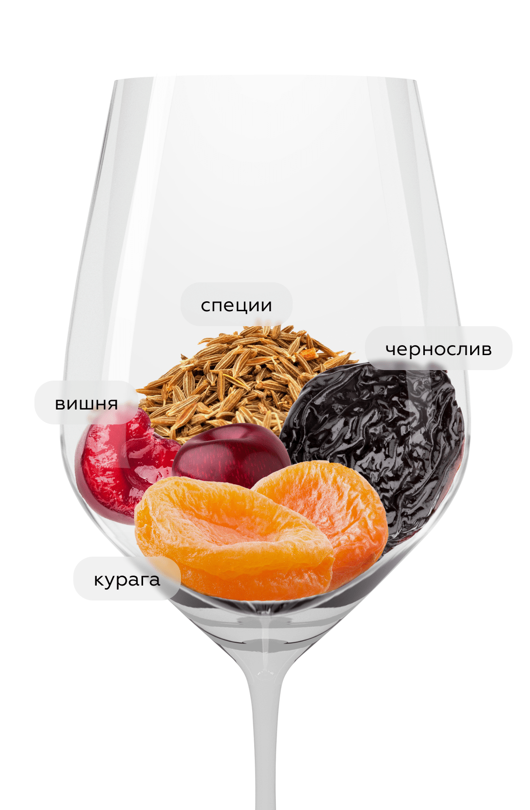 Вино Ribera del Duero Cepa 21, Bodegas Cepa 21, 2023, (158768), Испания, Кастилия и Леон, красное, сухое, 0.75 л, Рибера дель Дуэро Сепа 21, цена 6690 рублей