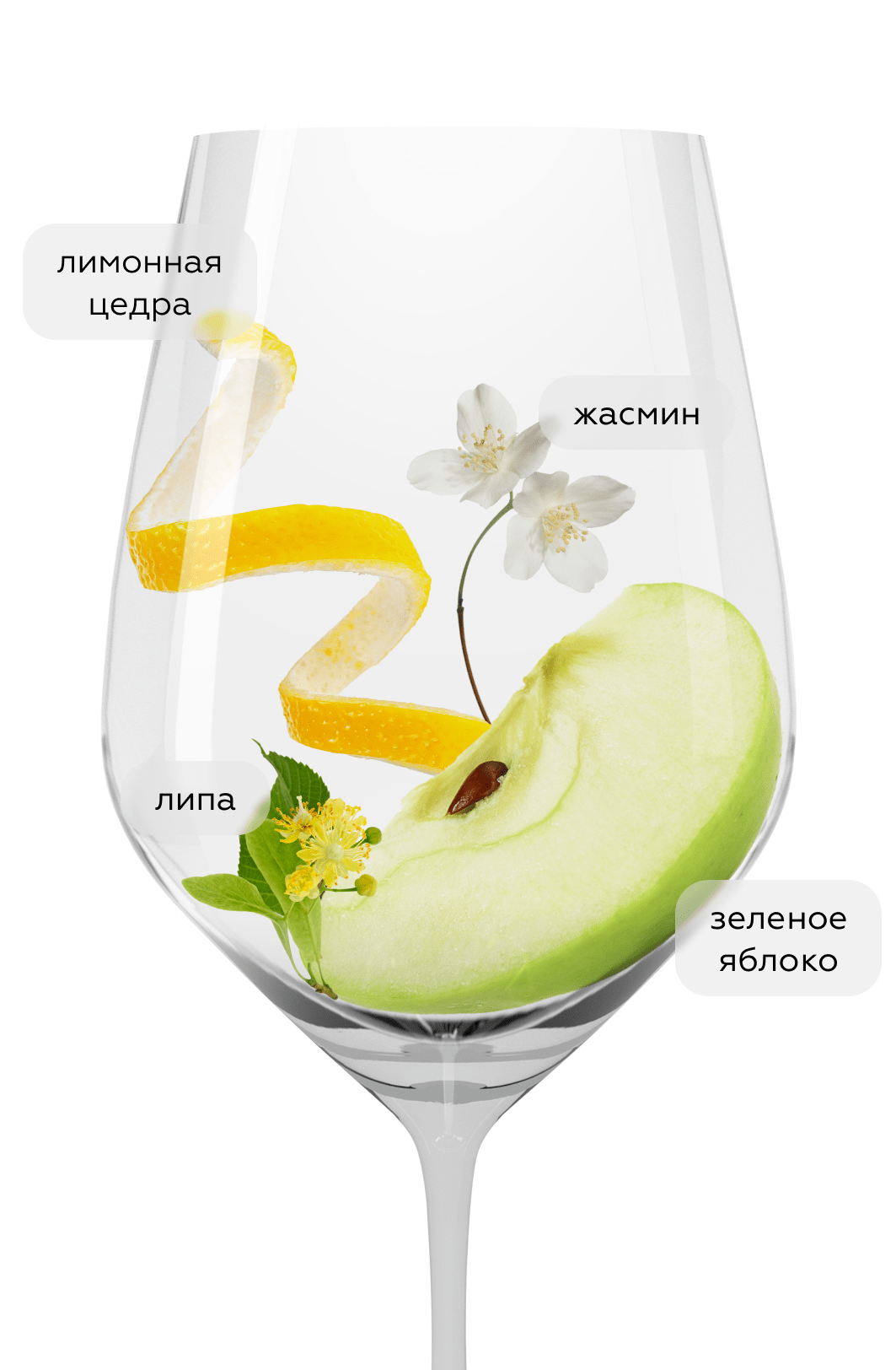 Вино Ркацители, Усадьба Маркотх, 2022, (144380), Россия, Кубань, белое, сухое, 0.75 л, Ркацители, цена 3290 рублей