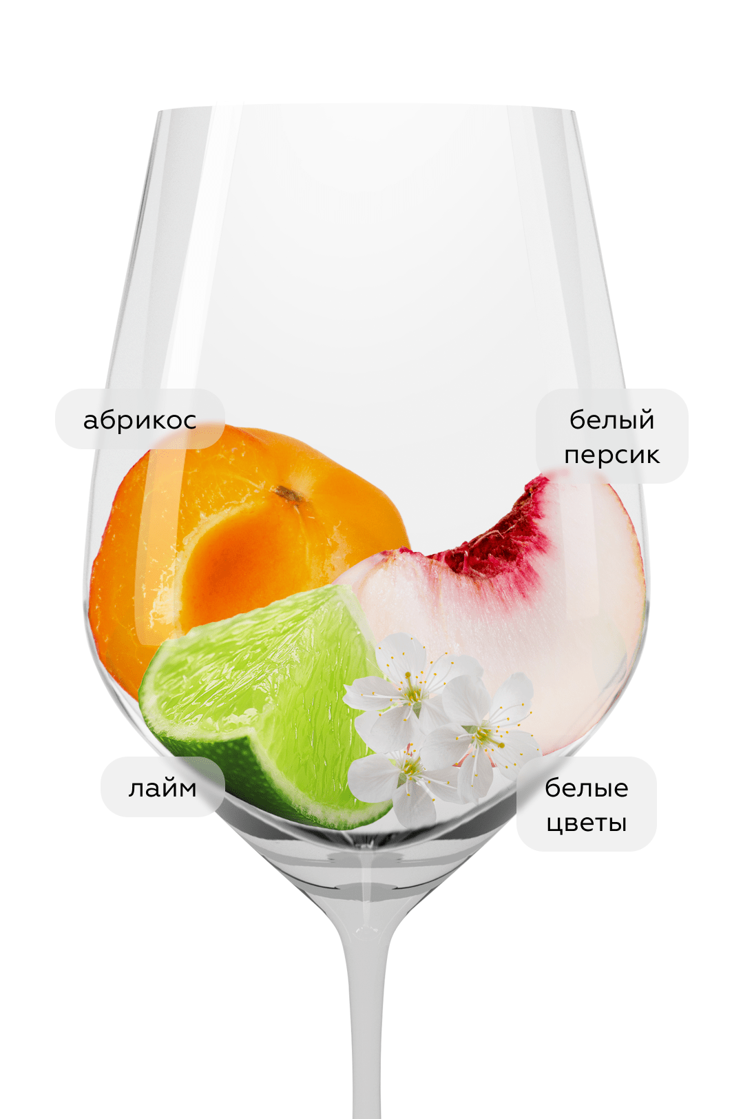 Вино Pinot Gris Tradition, Cave de Turckheim, 2022, (148586), Франция, Эльзас, белое, полусухое, 0.75 л, Пино Гри Традисьон, цена 3790 рублей