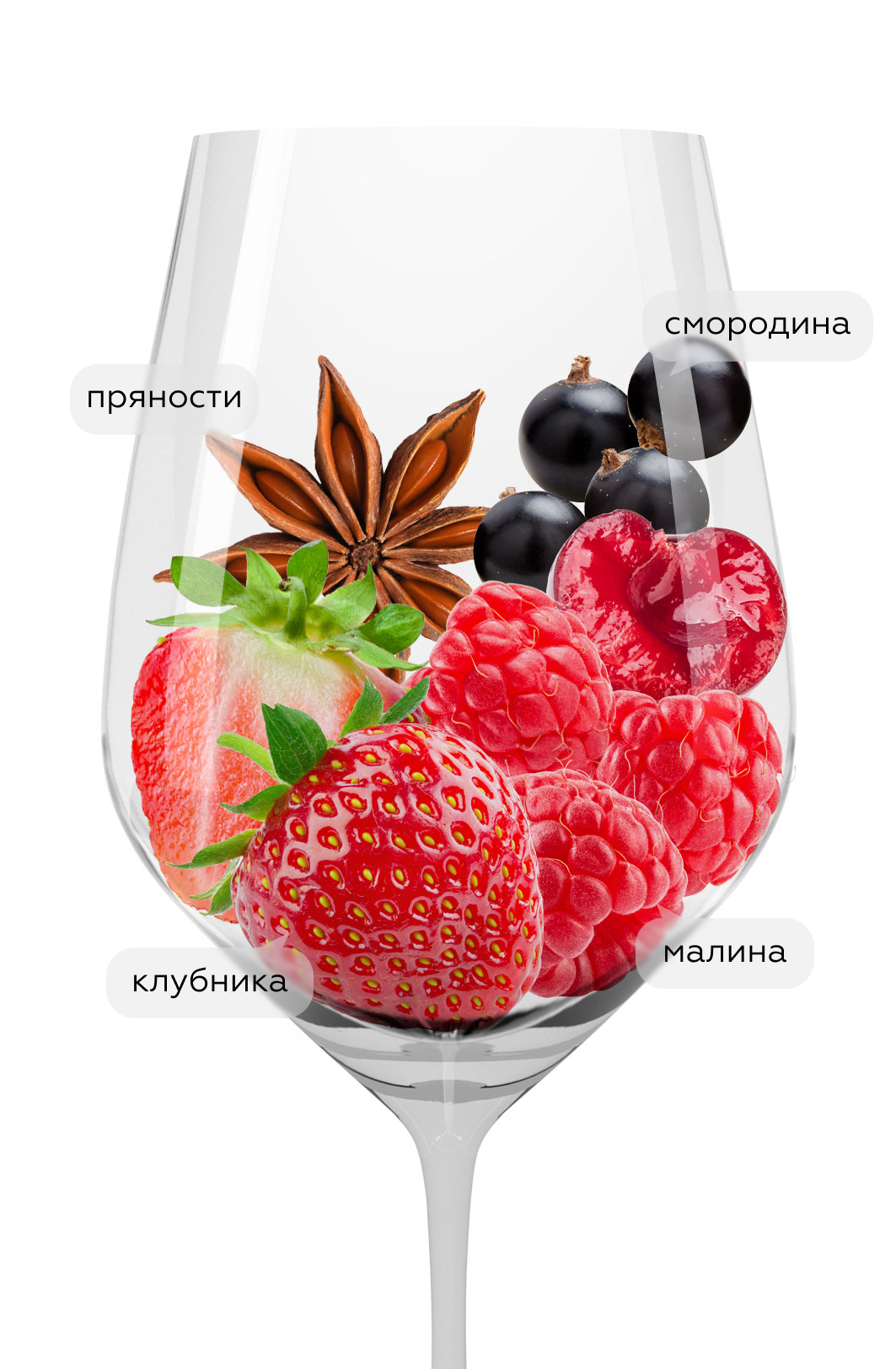 Вино Tracer Pinot Noir, Weinkellerei Hechtsheim, 2022, (139723), Германия, Пфальц, красное, полусухое, 0.75 л, Трейсер Пино Нуар, цена 2290 рублей