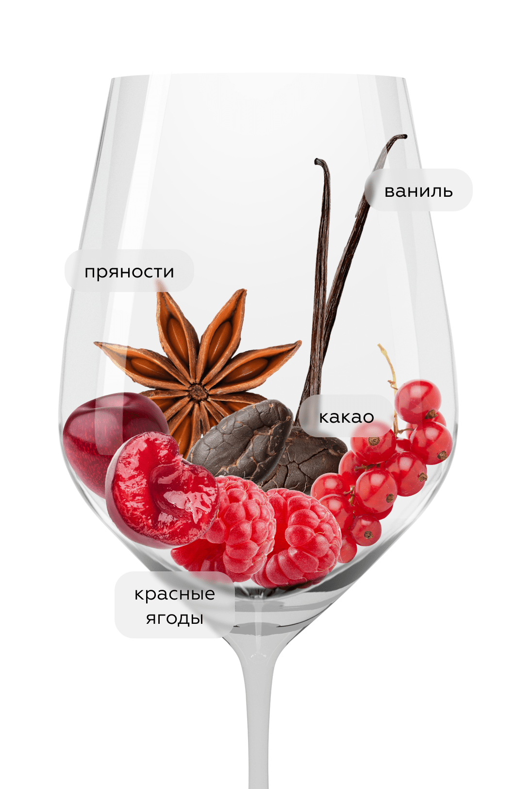 Вино Hacienda Lopez de Haro Garnacha, 2022, (158701), Испания, Риоха, красное, сухое, 0.75 л, Риоха Гарнача, цена 2990 рублей