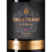 Вино из Наварра Gran Feudo Reserva в подарочной упаковке