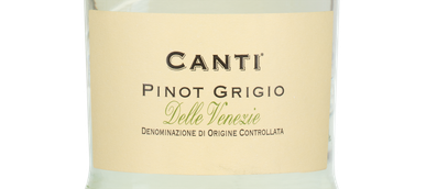 Белое вино Canti Pinot Grigio