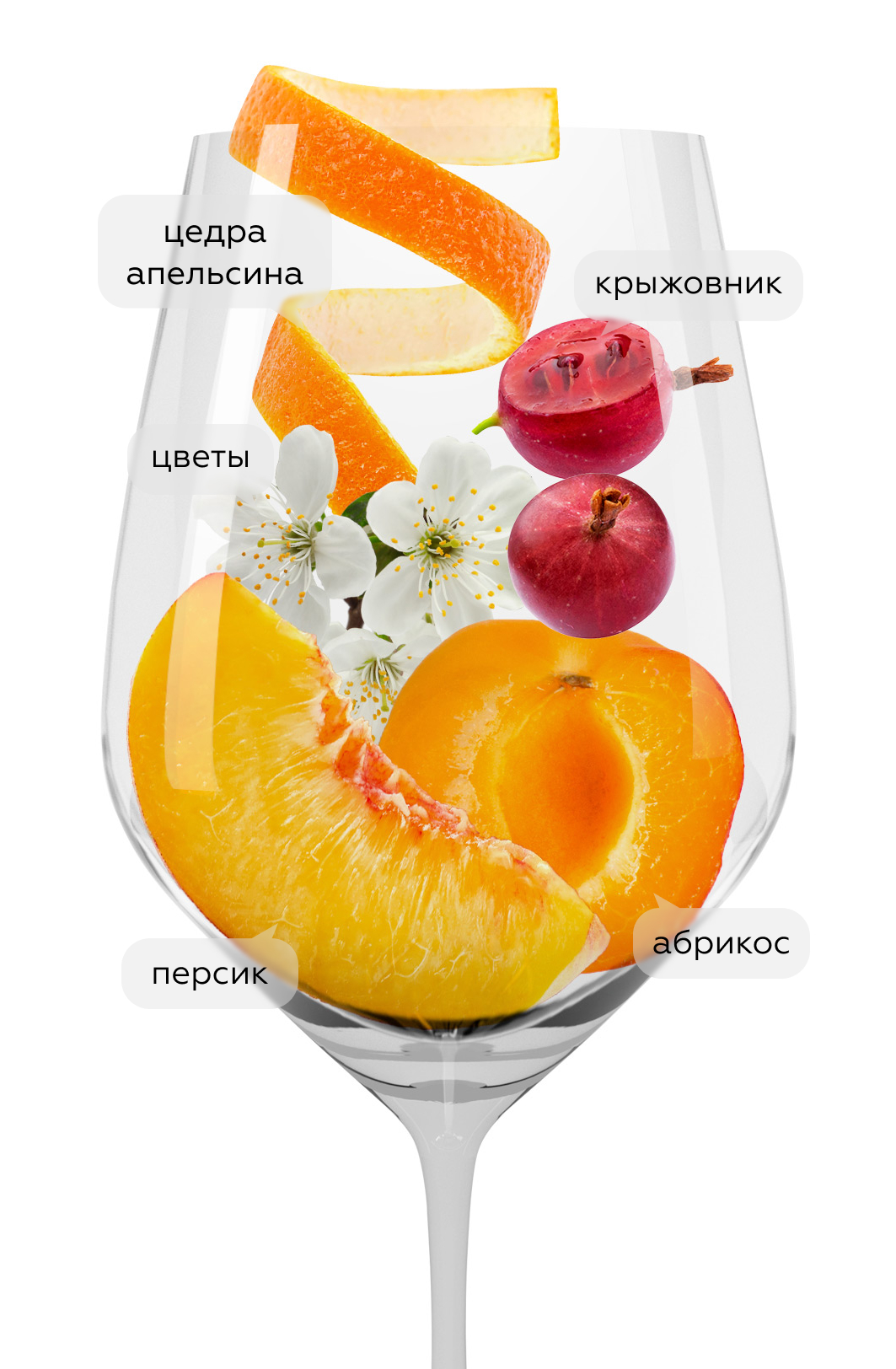 Вино Soave-Bertani, 2020, (133783), Италия, Венето, белое, полусухое, 0.75 л, Соаве-Бертани, цена 5990 рублей