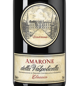 Вино с вкусом черных спелых ягод Amarone della Valpolicella Classico