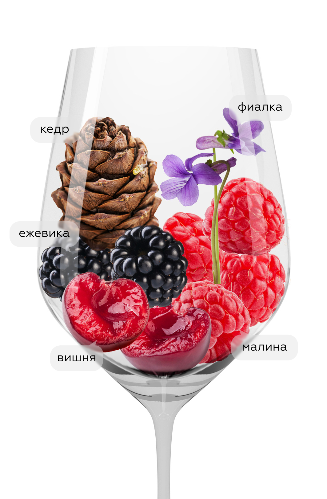 Вино Tiara, Simonsig, 2019, (146367), Южная Африка, Стелленбош, красное, сухое, 0.75 л, Тиара, цена 6990 рублей