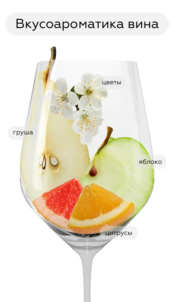 Вино Hans Baer Riesling, Weinkellerei Hechtsheim, 2024, (155636), Германия, Рейнгессен, белое, полусухое, 0.75 л, Ханс Баер Рислинг, цена 1290 рублей