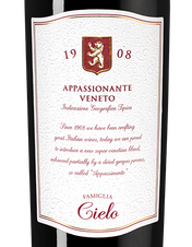 Вино Appassionante Rosso, (137945), красное полусухое, 2020 г., 0.75 л, Апасионанте Россо цена 1690 рублей
