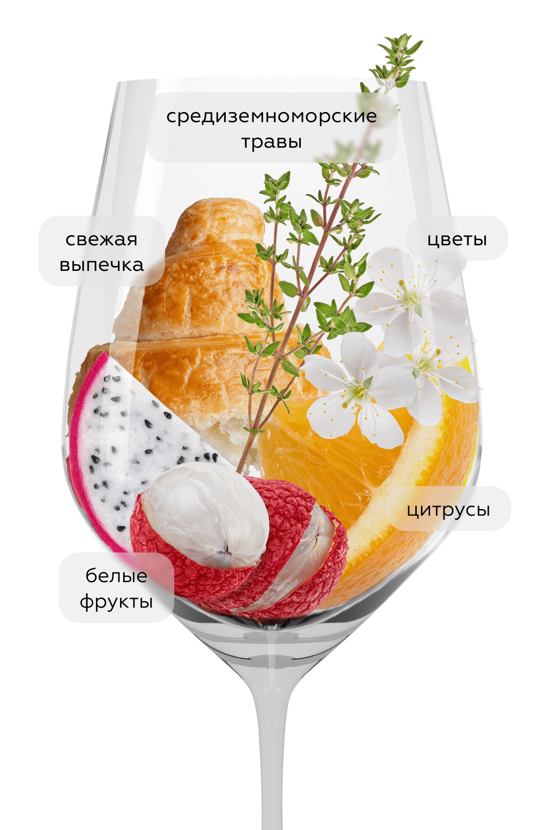 Игристое вино Tres Naus Brut, Cellers Domenys, (158910), Испания, Каталония, белое, брют, 0.75 л, Кава Трес Наус Брют, цена 1743 рублей