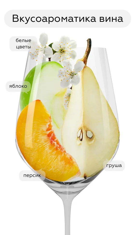 Игристое вино Cava Castell Llord, Castel Llord, (154676), Испания, Каталония, белое, брют, 0.75 л, Кава Кастель Льорд, цена 2290 рублей